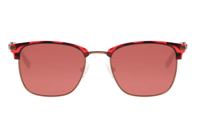 SUNGLASSES - OCCL3854
