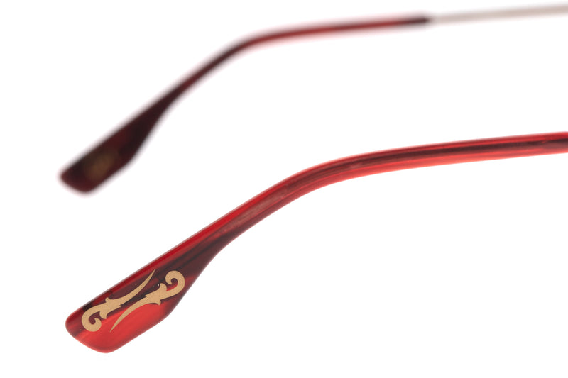 SUNGLASSES - OCCL3854