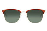 SUNGLASSES - OCCL3854