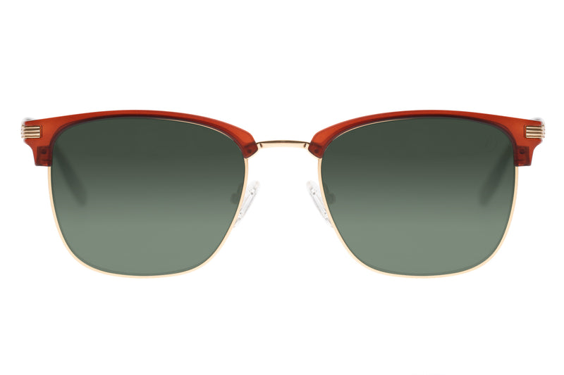SUNGLASSES - OCCL3854