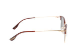 SUNGLASSES - OCCL3854