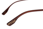 SUNGLASSES - OCCL3854