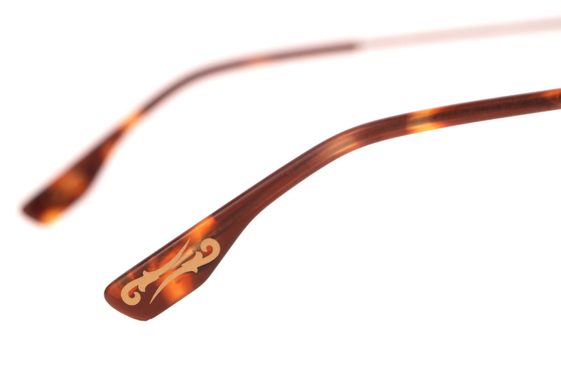 SUNGLASSES - OCCL3854