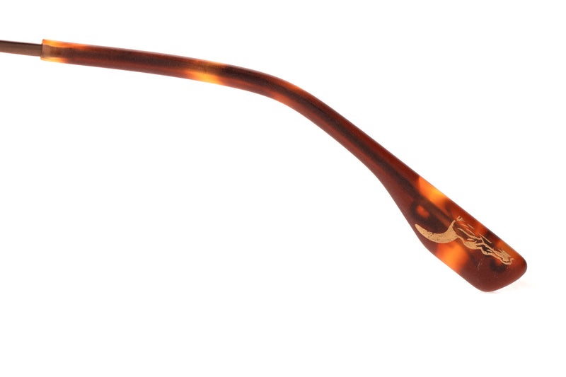 SUNGLASSES - OCCL3854