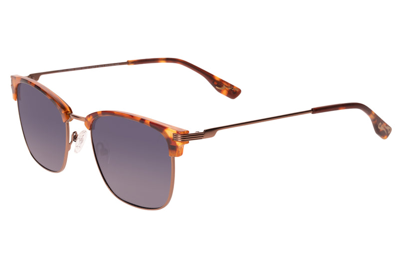 SUNGLASSES - OCCL3854