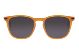 SUNGLASSES - OCCL3855