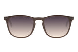 SUNGLASSES - OCCL3855