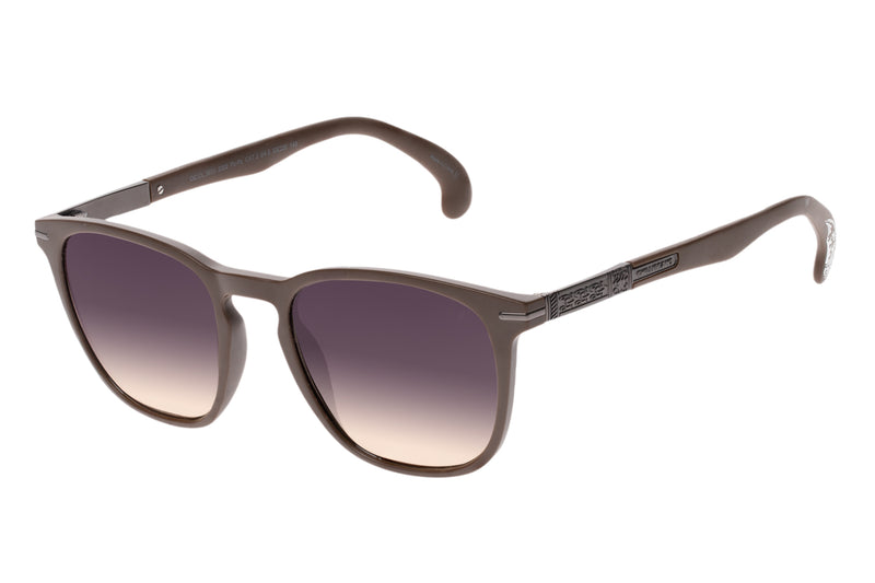 SUNGLASSES - OCCL3855