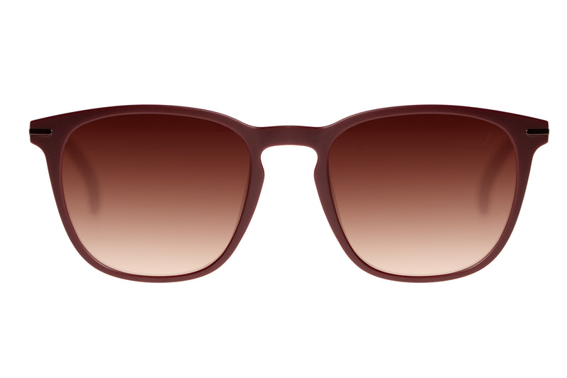 SUNGLASSES - OCCL3855