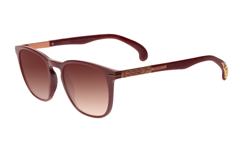 SUNGLASSES - OCCL3855
