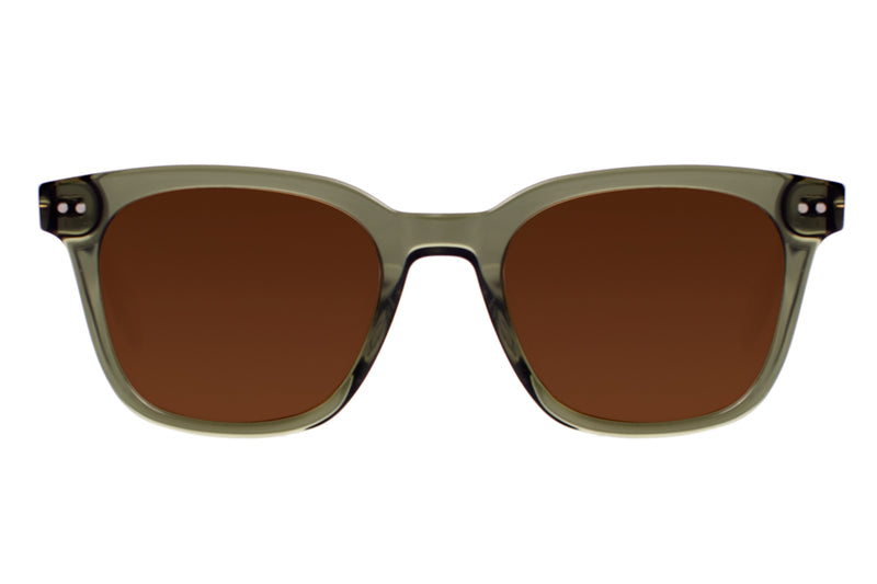 SUNGLASSES - OCCL3857
