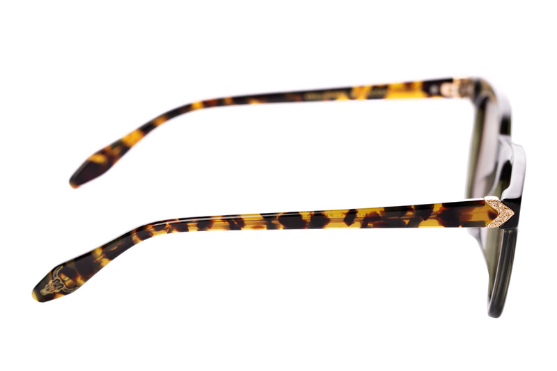 SUNGLASSES - OCCL3857