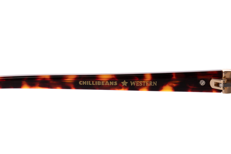 SUNGLASSES - OCCL3857