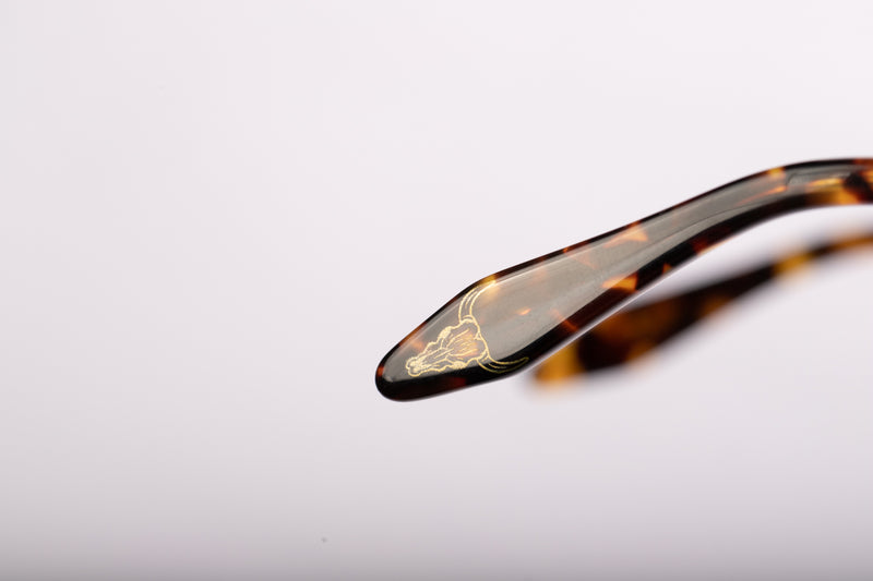 SUNGLASSES - OCCL3857