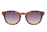 SUNGLASSES - OCCL3858