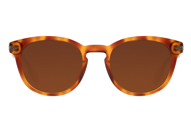 SUNGLASSES - OCCL3858