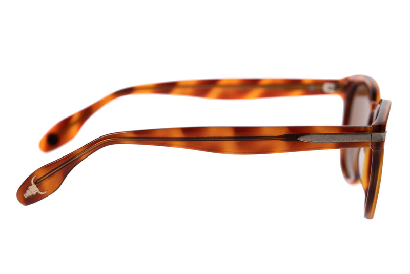 SUNGLASSES - OCCL3858