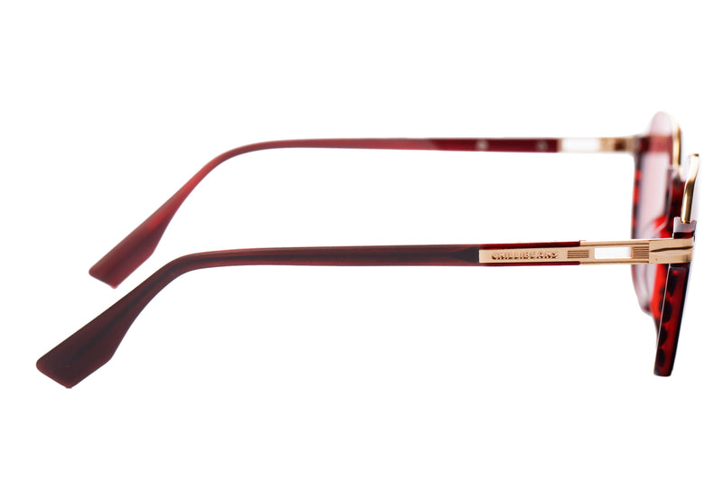 SUNGLASSES - OCCL3859