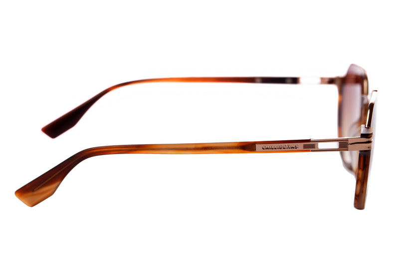 SUNGLASSES - OCCL3859