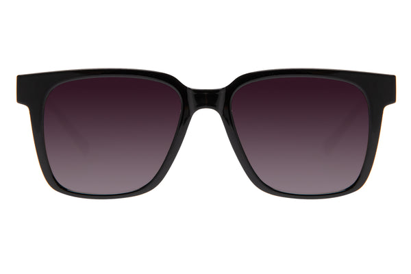 SUNGLASSES - OCCL3862