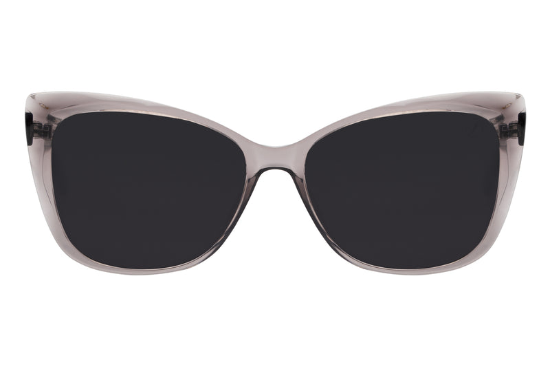 SUNGLASSES - OCCL3937