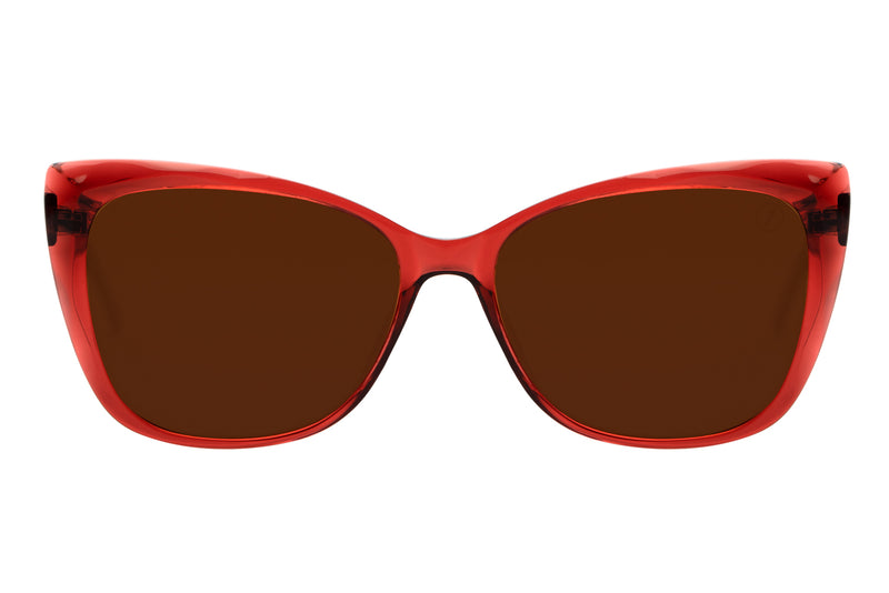 SUNGLASSES - OCCL3937