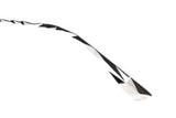 SUNGLASSES - OCMT3466