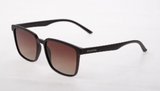 SUNGLASSES - OCCL3582
